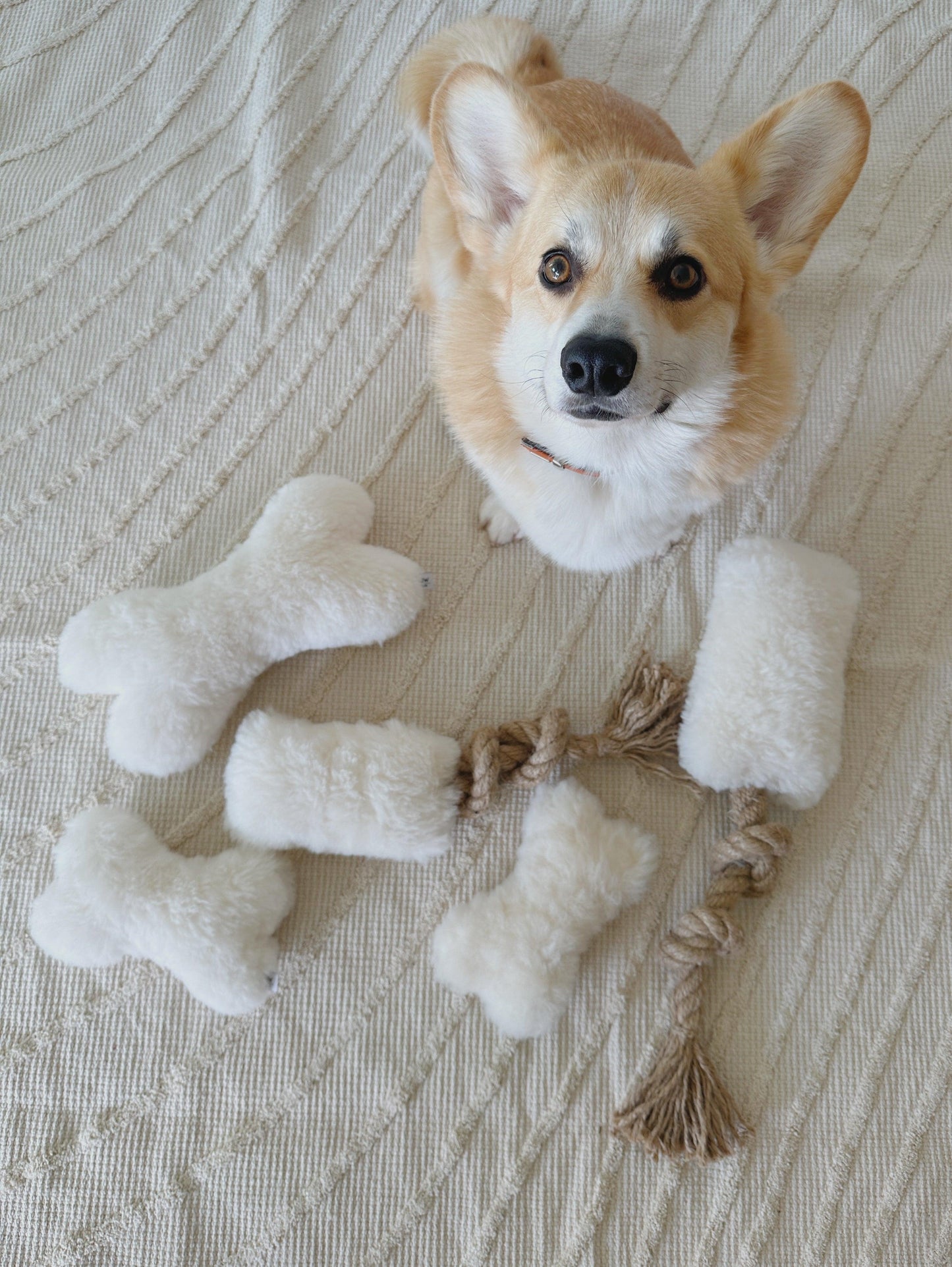 Natural Sheepskin Dog Toy - Bone - Beige-3