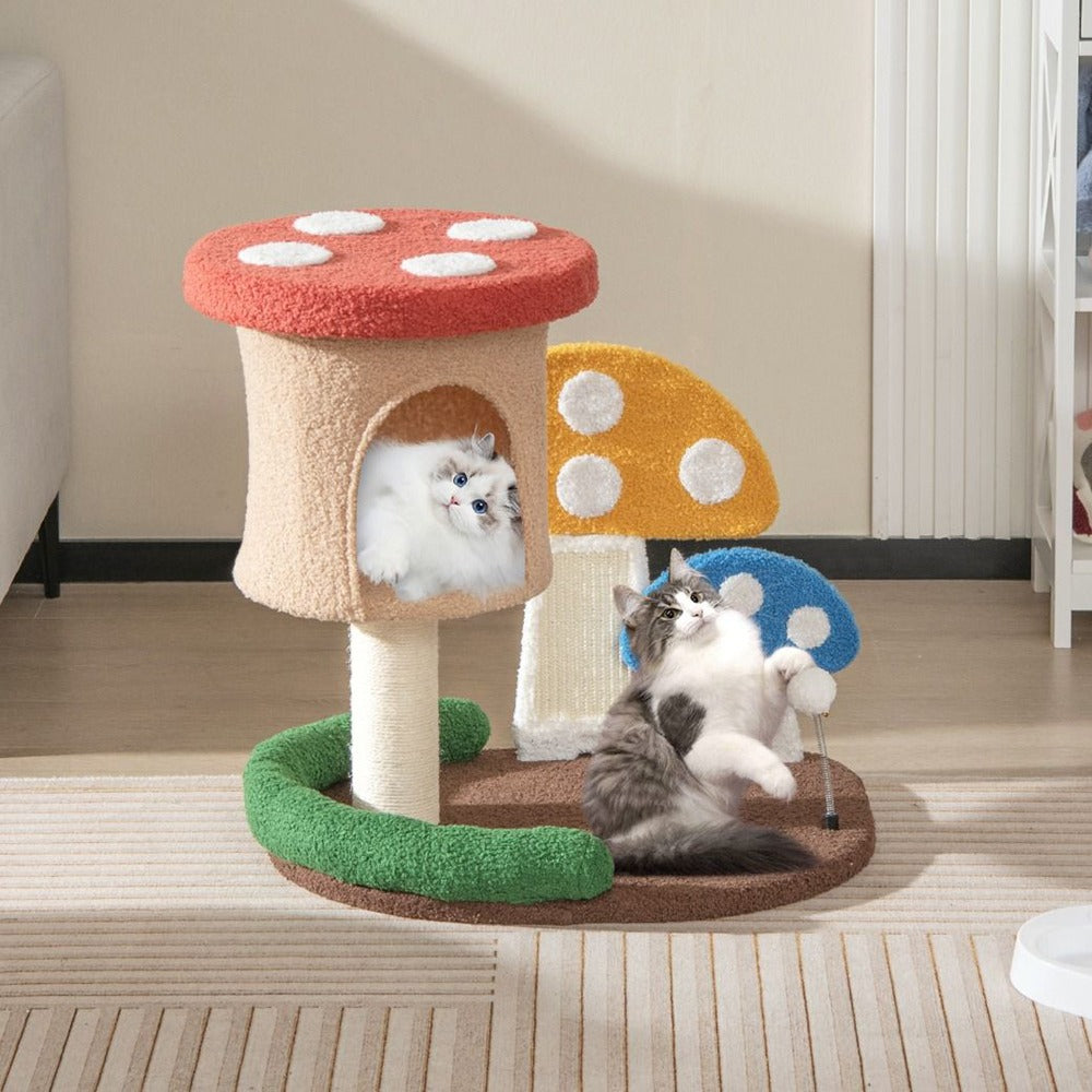 Macska mászóka gomba-4