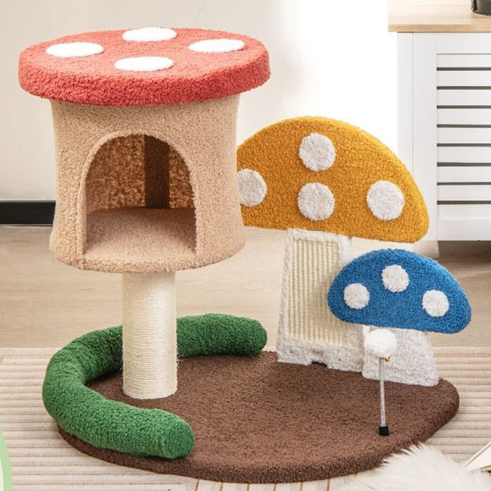 Macska mászóka gomba-1